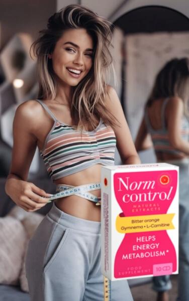 Kā lietot Normcontrol – lietošanas instrukcijas Kā lietot Normcontrol – lietošanas instrukcijas